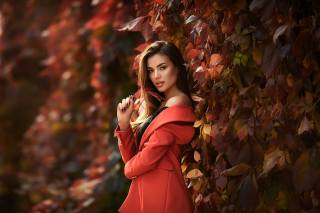 Анастасия Бармина, holka, pohled, krásná, podzim