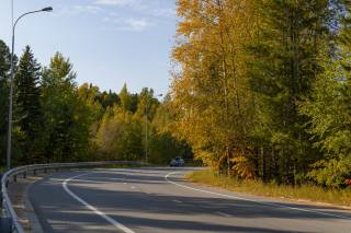 дорога, дерева, осінь