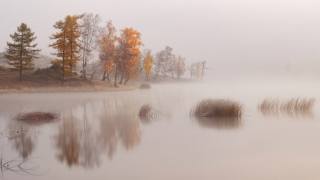 осень, озеро, туман