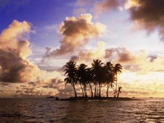 palmové, nebe, oceán