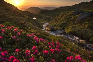 the sun, rays, landscape, sunset, mountains, nature, stream, stones, Romania, рододендроны, Lazar Ioan Ovidiu