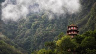 Тароко, soutěska, Tchaj-wan, věž, stromy, mlha, příroda