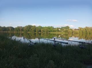 morning, удочки, fishing, silence, the pond, nature.
