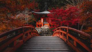 Daygo-ji с красным, мостом осенью в Киото