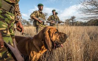 antipoaching patrol, Kenya, Кенія, Wildlife Conservancy