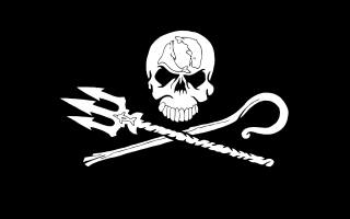 direct action marine conservation organization, Sea Shepherd, Логотип