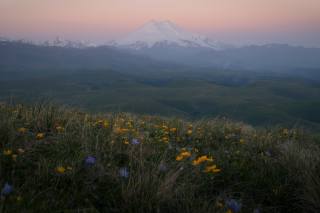 summer, June, grass, mountain, Elbrus, photo, ?????? ???????