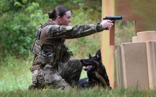 Security Support Squadron, Joint Base Andrews, Military Working Dog competition
