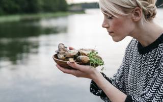 Nordic lifestyle, letní, Finsko, Nordic food