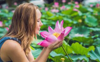 Pink Lotus, квітка, жінка
