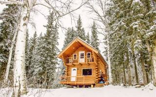 Log Cabin, wildlife, Alaska