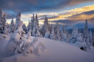 les, sníh, závěje, Сергей Межин