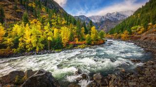 природа, Осінь, США, Вашингтон, Річка, гірська річка, ліс, дерева, горі, каміння