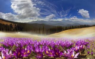 mountain ranges, Украина, природа, Carpathians
