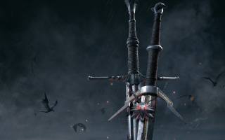 The Witcher, the Witcher, swords