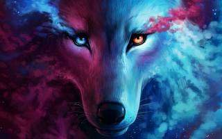 wolf, muzzle, art, beautiful, graphics, space