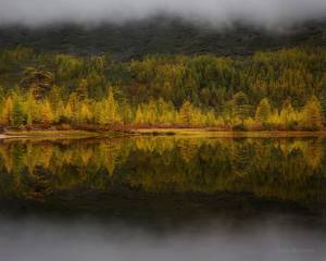 September, Колыма, taiga, вода. отражение, photo, Ирина Абатурова