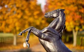 Newmarket, National Stud, united kingdom, Thoroughbred horse breeding farm, statue