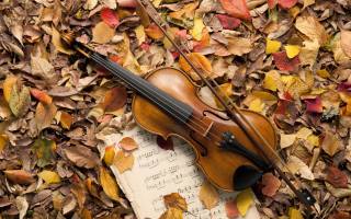 leaves, Music, autumn, Violin
