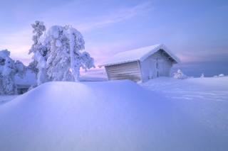 trees, Hut, snow, drifts, Андрей Базанов
