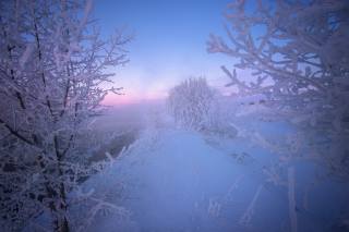 mráz, stromy, sníh, řeka, Андрей Базанов