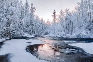 forest, snow, river, Руслан Кондратенко