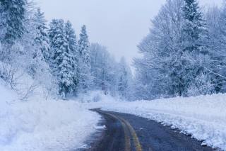 дорога, снег, деревья
