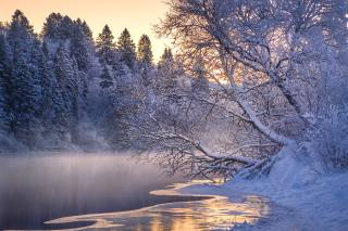 зіма, River, the lake, fog, forest, wood, Snow, іній