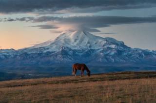 горы, лошадь, фото, Александр Пашеничев
