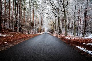 дорога, ліс, зима