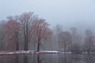 park, mlha, zima