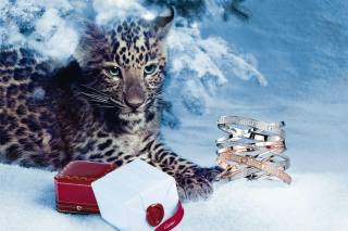 Zvíře, dravec, mládě, leopard, Nový rok, vánoční strom, dekorace, Cartier, móda, sníh, zima, noc, náramek, pouzdro, páska, dárek