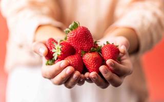 fresh produce, strawberries, new zealand