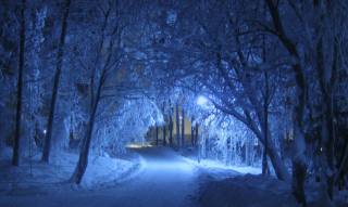 noc, zima, sníh, cesta, stromy, světla