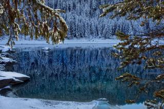 the lake, reflection, forest, snow, winter
