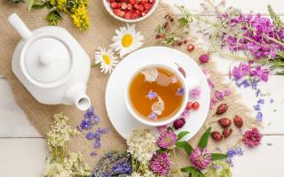 Chamomile, herbal tea, aromatic blend