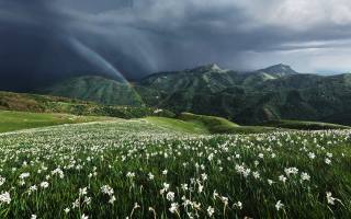 příroda, jaro, Itálie, toskánsko, gori, пагорби, květiny, нарциси, хмари, дощ, веселка