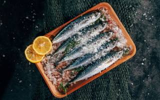 ryby, low-calorie high-protein food, sardines