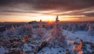 mountains, snow, trees, татьяна бирюкова