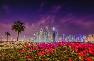 город, закат, ОАЭ, Дубай, Rhododendron, ночной город, Зданий, цветы, bushes