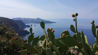Сицилия, природа, пейзаж, море, горы, бухты, скалы, кактусы, опунция