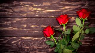 Розы Красный, цветок втроем